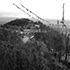 Black and white image of a hillside with a dense view of trees, buildings, and prayer flags in the foreground. Ascending the hill are 21st-century structures, reminiscent of Tibetan Lamas' architecture. The background features a foggy or cloudy sky obscuring the horizon.