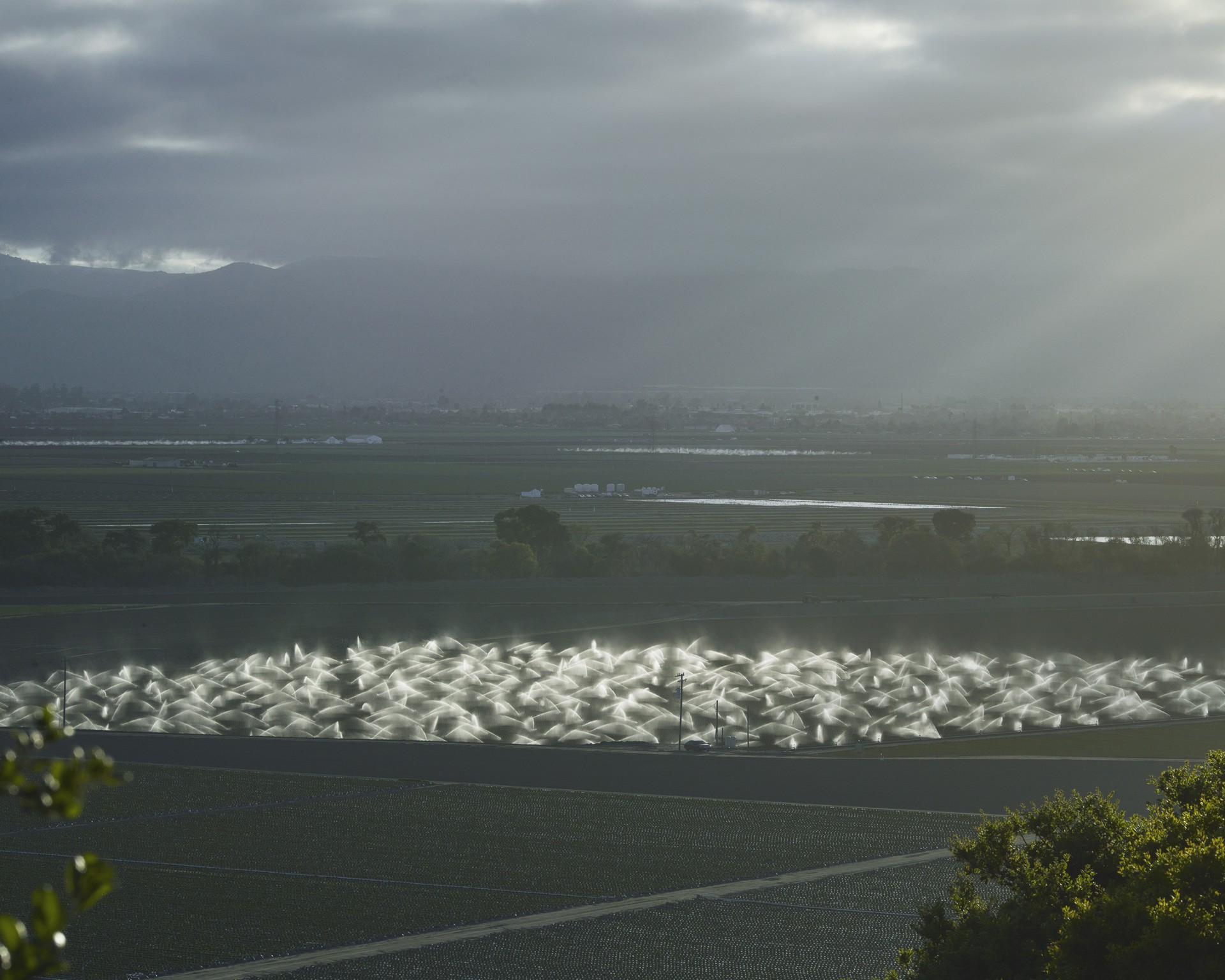 Photograph of sprinklers going off in a very large field.