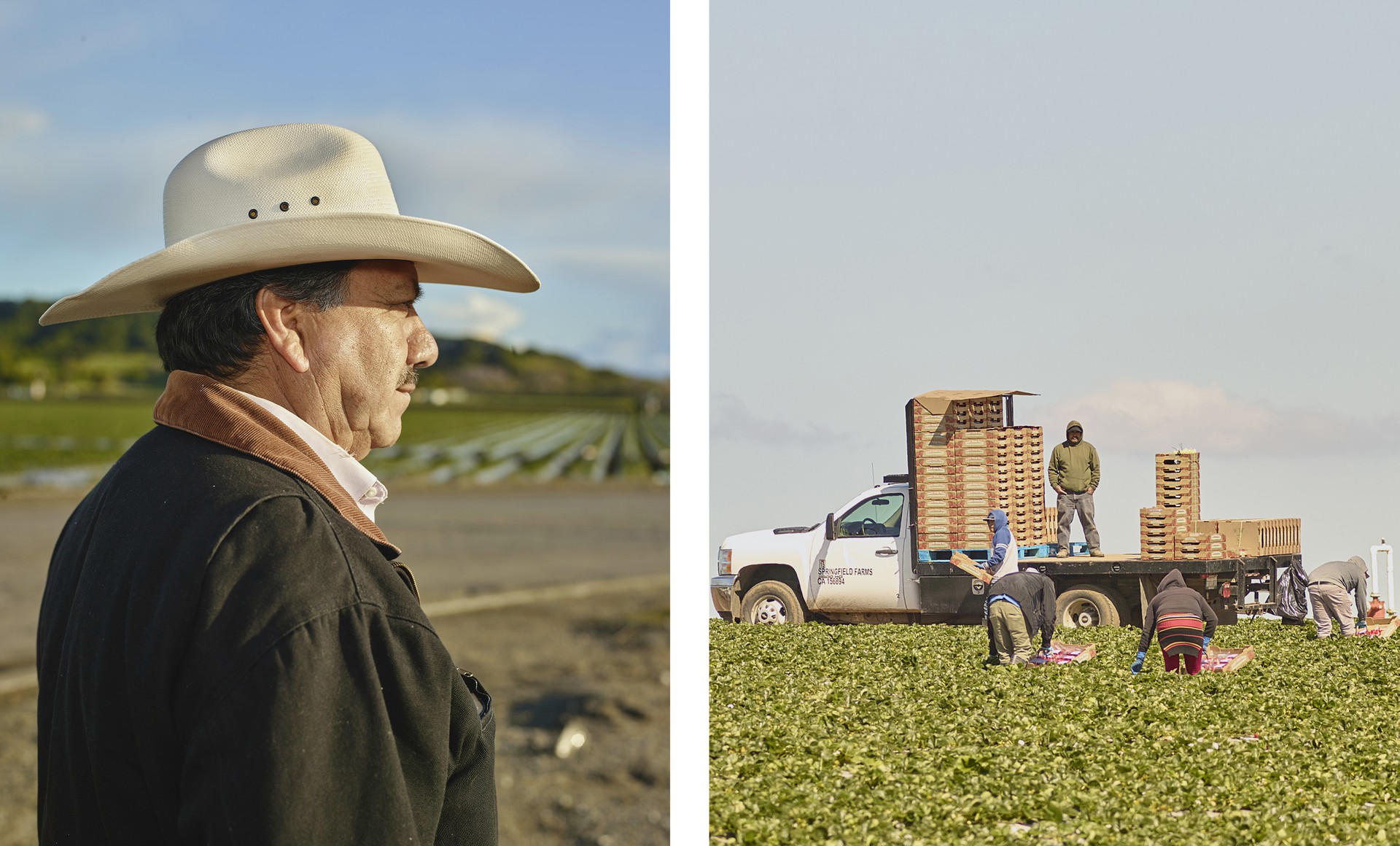 Photograph of an older Hispanic man wearing a dressy cowboy hat waits to be called into the field during berry season.