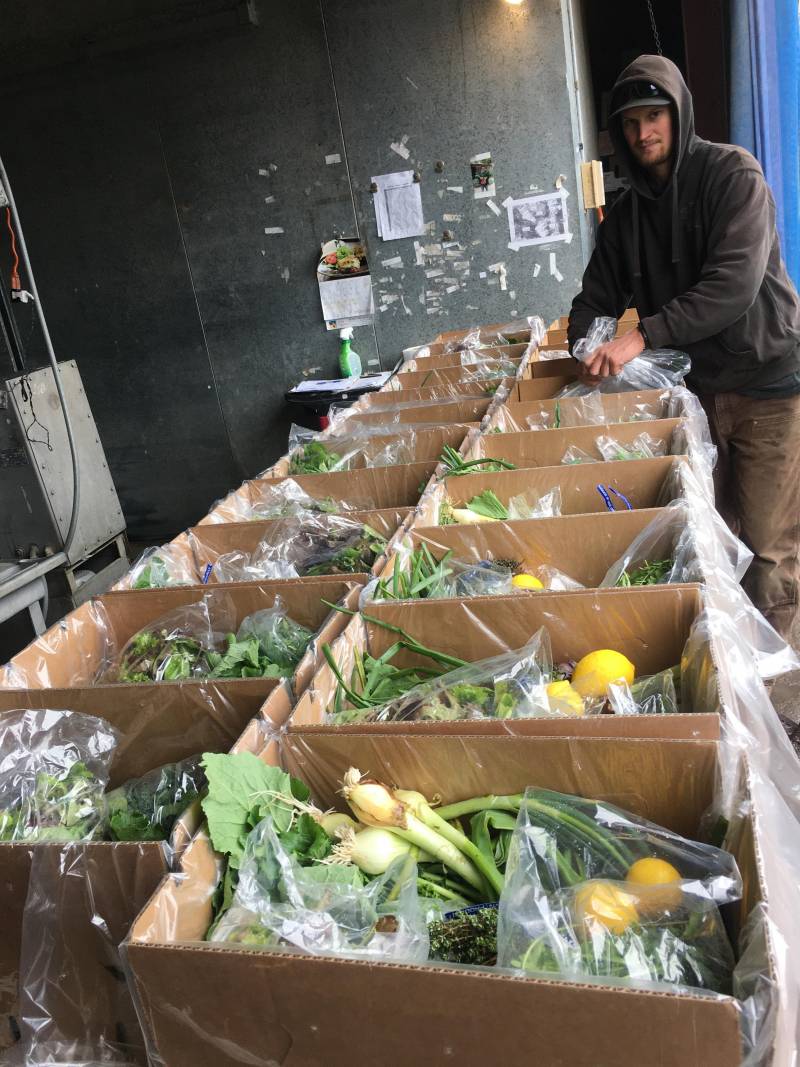 A person in a hoodie and jacket stands next to a long table filled with open cardboard boxes. The boxes contain various fresh vegetables and fruits, including lemons, greens, and onions, prepped for what appears to be a distribution or delivery. This scene could inspire an article in Berkeley Journalism.