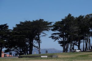 A park with tall trees framing a clear blue sky and mountains in the background. People are walking and talking, some discussing stories from Berkeley Journalism. An empty bench sits in the foreground, while a white vehicle is parked on the right side of the image.