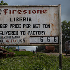 An old, rusty sign for Firestone Liberia, reminiscent of a Berkeley Journalism feature, displays the rubber price per wet ton and delivery details. The background shows a rural area with overgrown grass, a cloudy sky, and scattered structures. The weathered sign indicates signs of age and exposure.