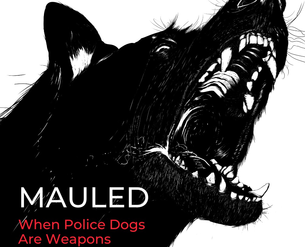 A black and white illustration of a police dog snarling, with sharp teeth bared. Text at the bottom left reads: 