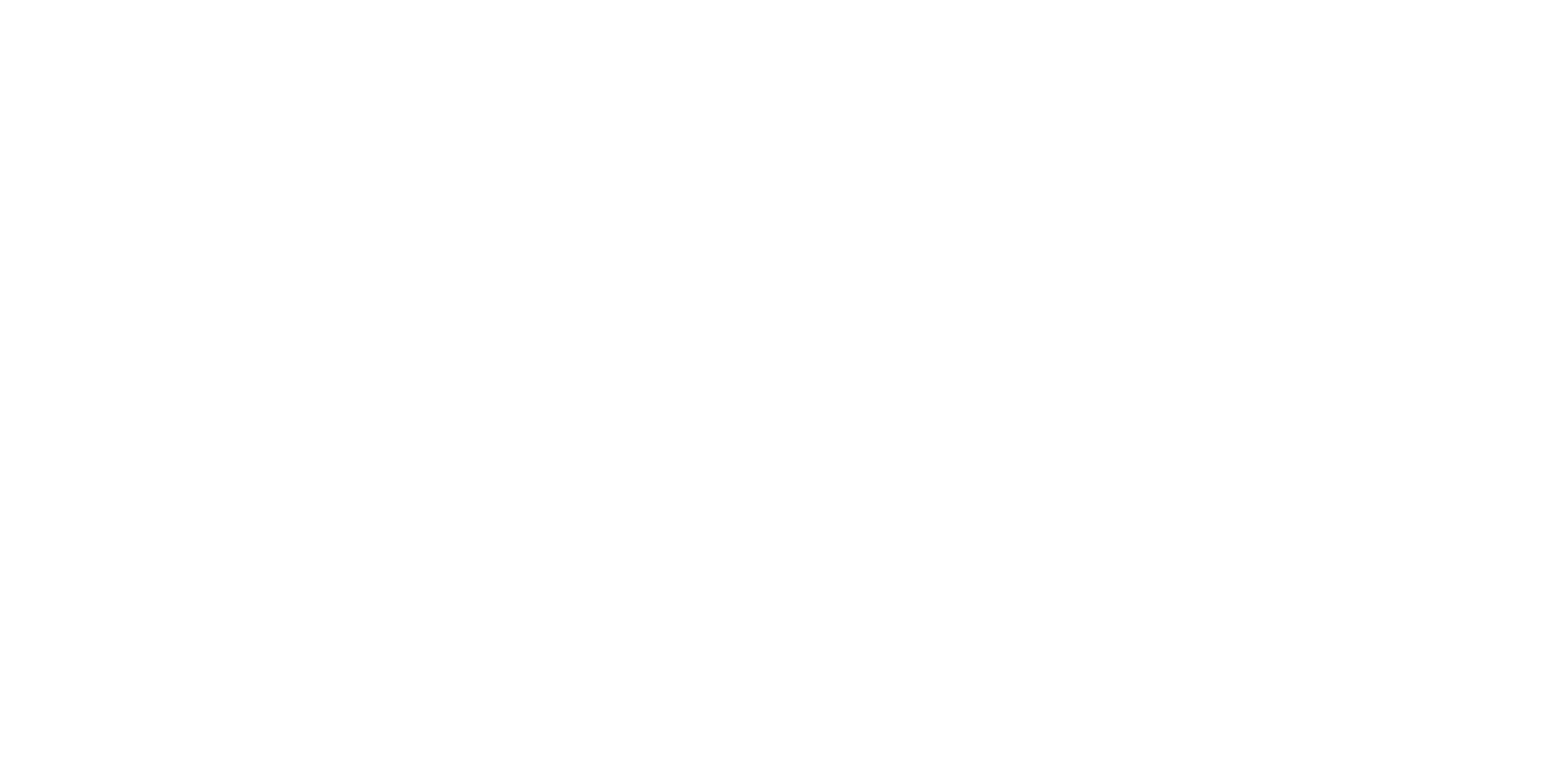 The Scan Foundation logo
