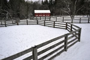 Photo of three fenced in areas and a red barn. The ground is covered with snow. 