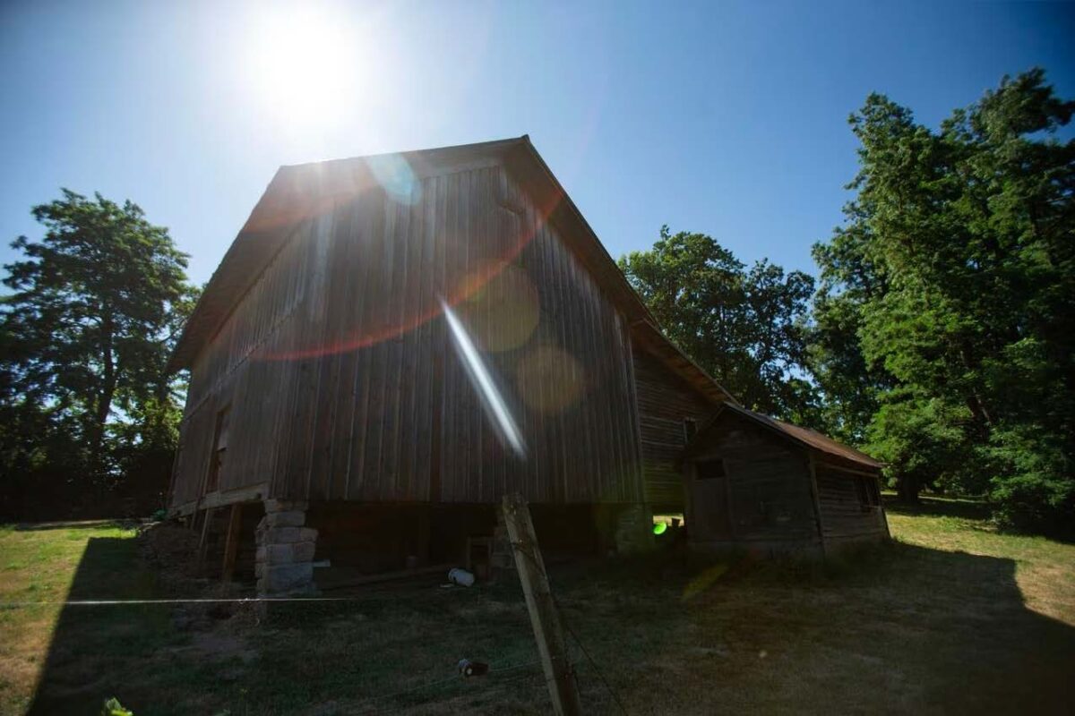 A photo of the brown wood panel barn on a sunny day.