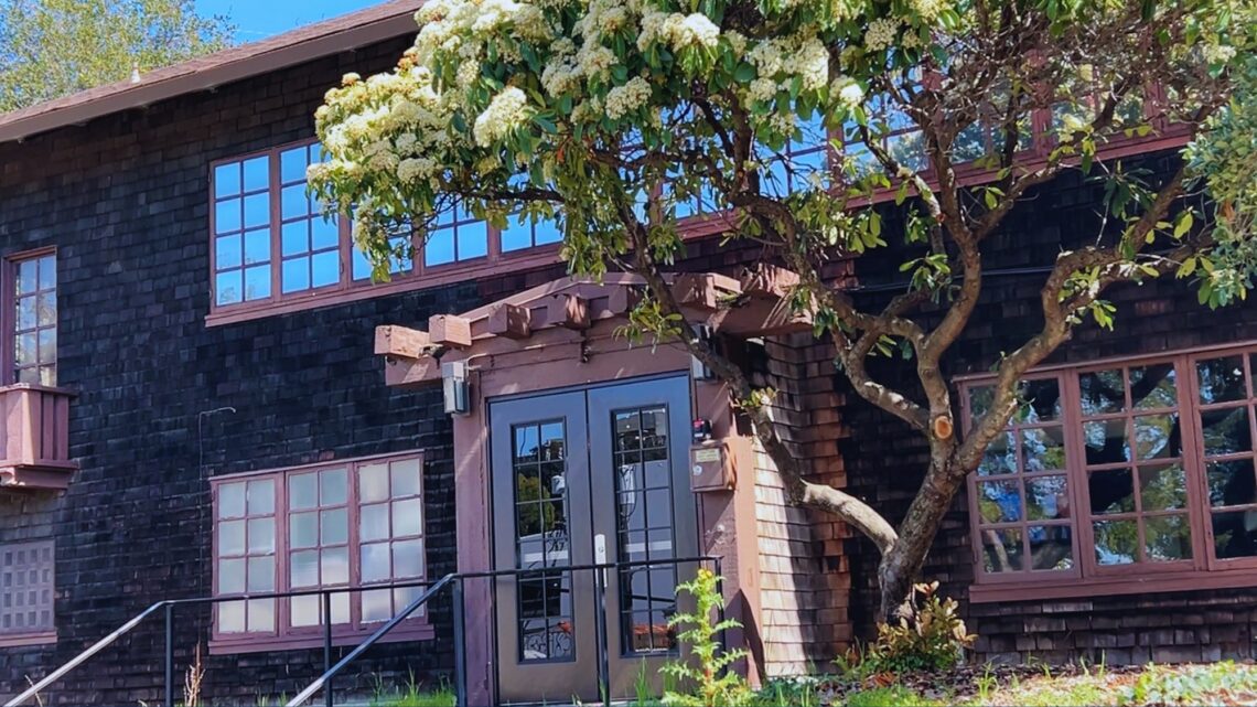 A two-story building with a dark wooden exterior and multiple windows is partially obscured by a flowering tree. This Berkeley Journalism structure, part of the $54 million campaign, features glass double doors under a wooden pergola-like structure. The tree's dense foliage and white flowers frame the entrance steps beautifully.