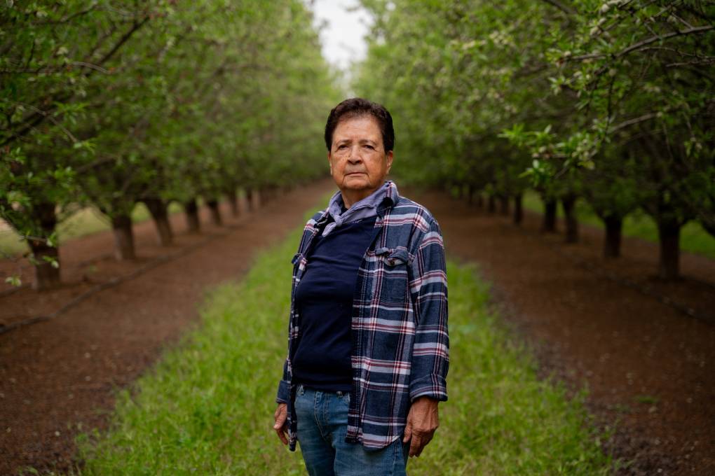 Elsie Saldaña standing in an orchard in the Central Valley, wearing a plaid shirt and looking at the camera. The lush, green orchard provides a serene backdrop.