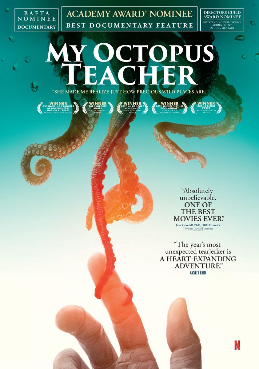 A hand reaching towards an octopus, with multiple award nominations and positive reviews for "My Octopus Teacher" displayed, illustrating the impact of climate on marine life.