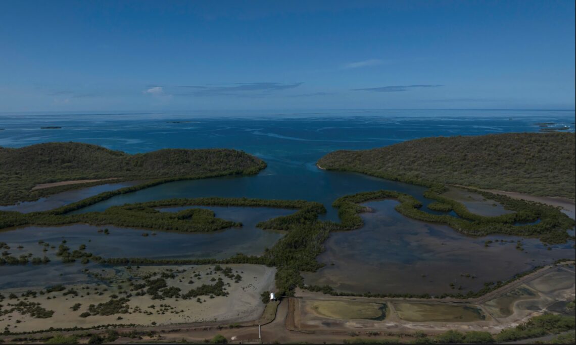 Aerial view of a coastal landscape with blue water, green islets, and surrounding hilly terrain under a clear sky—a testament to nature's resilience amid the changing climate.