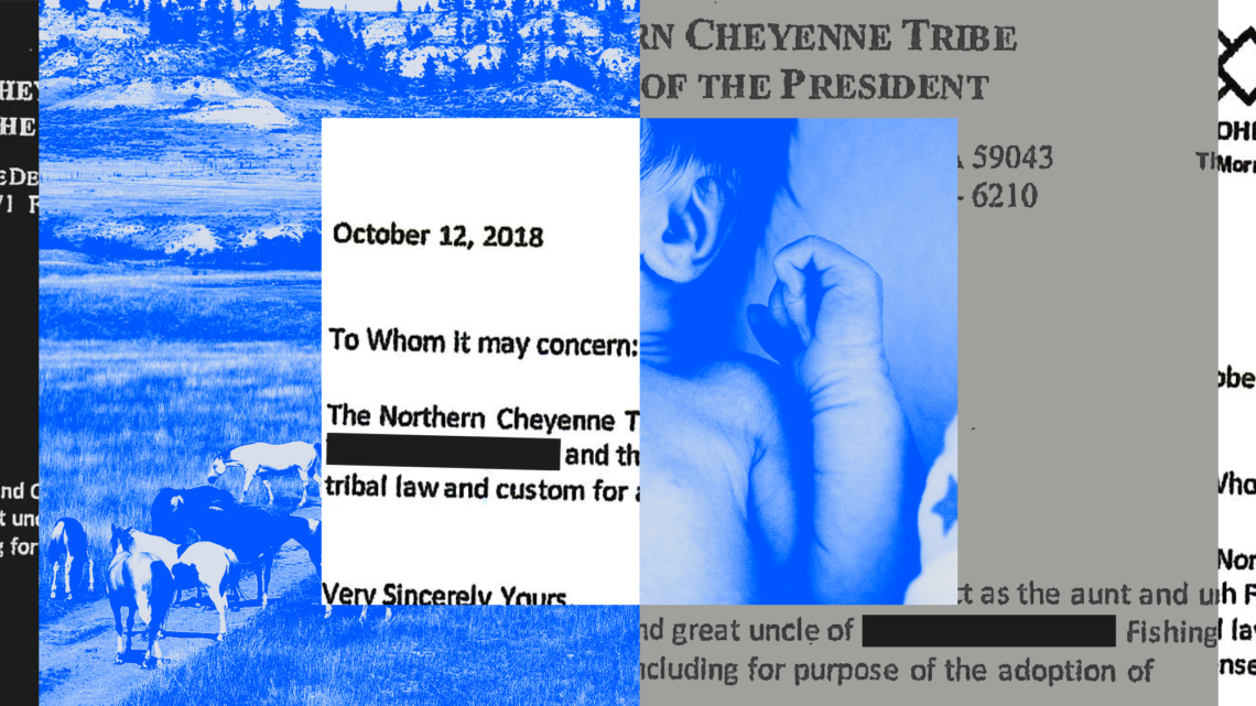 Collage of photos of a baby, cows in an open field, a document from October 12, 2018 beginning "To whom it may concern" and the adoption record document.