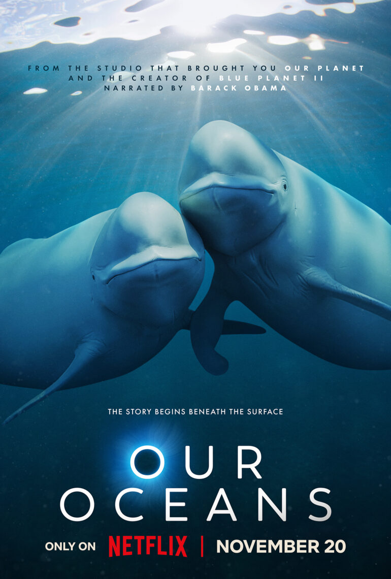 Our Oceans promotional poster that has the words Our Oceans and Netflix logo with a photo of two dolphins that look like they are touching or hugging.