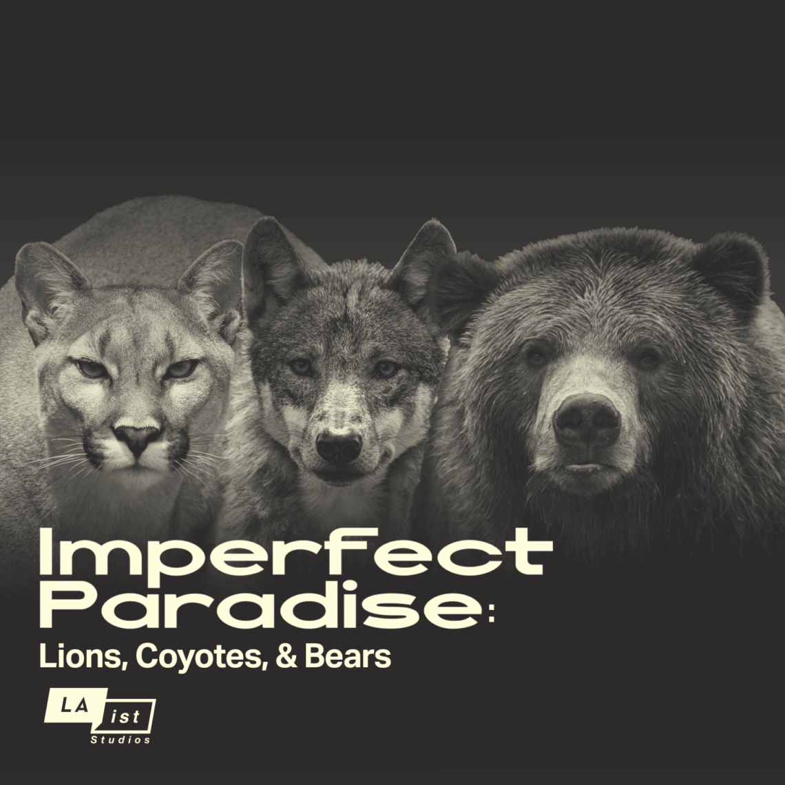 Podcast art featuring closeups of mountain lions, wolves and bears.