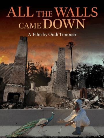 Image of a cityscape ravaged by fire in Los Angeles with the words All the Walls Came Down in yellow lettering and A from by Ondi Timoner in white. A person in a a white fire suit is on a ledge with a peacock in the foreground. 