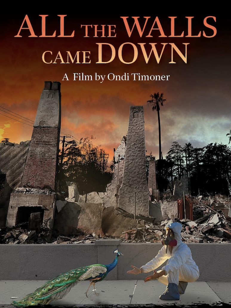 Image of a cityscape ravaged by fire in Los Angeles with the words All the Walls Came Down in yellow lettering and A from by Ondi Timoner in white