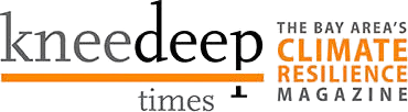 KneeDeep Times logo