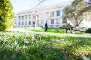Close-up of grass and small white flowers in the foreground with two blurred people walking on a path across a green lawn. In the background, a large, white building with columns and windows surrounded by trees stands tall. The bright, sunny scene feels like a snapshot from an undergraduate campus.